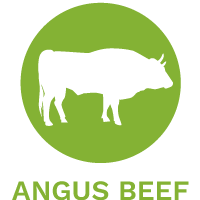 Angus Beef dog food