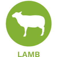 Lamb dog food
